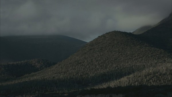Ленфильм, Lenfilm