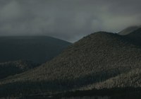 Ленфильм, Lenfilm