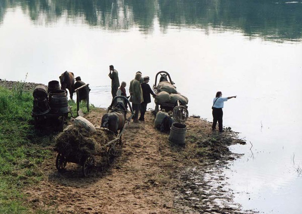Ленфильм, Lenfilm