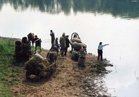 Ленфильм, Lenfilm